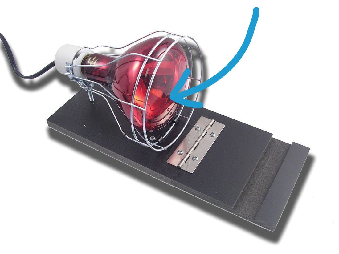 GT1014 - Replacement Bulb for Heat Lamp Unit